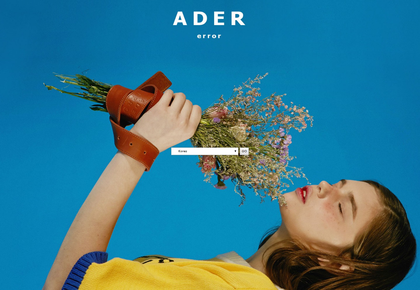 welcome Ader error